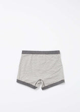 Load image into Gallery viewer, Grand Trunk