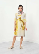 Load image into Gallery viewer, Buttercup Dress
